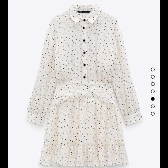 Zara Dresses & Skirts - COPY - Micro Dot Mini Dress